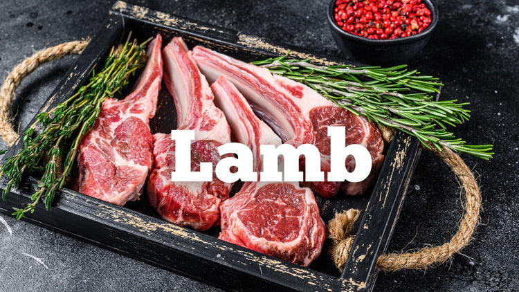 Lamb